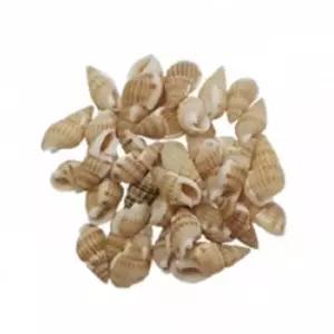 해양 소라껍데기 모형 수족관 마린 인테리어 창의력 여행 학습교재 신남 신혜경쌤