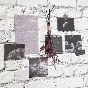 [콩심팥심]포인트 장식 카드 우주 빈티지엽서 촬영소품 미니포스