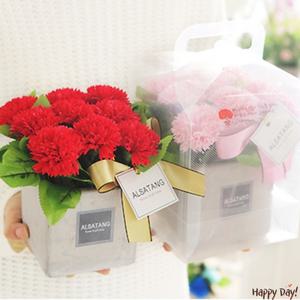 카네이션 꽃화분 레드 어버이날 스승의날 초등 중학생 유치원 선생님 졸업