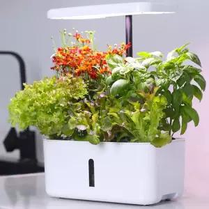 실내 LED 수경재배기 식물키우기 스마트팜 채소 과일 상추 바질 허브 화이트 H227