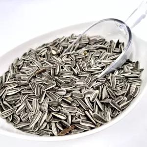 공기세척 깨끗한 해바라기씨 400g 앵무새 햄스터 다람쥐 간식 사료 