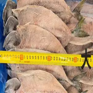 푸른바다 고갈비 대 1미 300g / 400g  10미  [3.25kg/3.5kg]