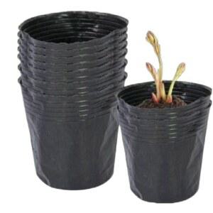 비닐 화분 포트 다육이 육종 재배 가드닝 세트 연질 100개 다육 대량판매 원형 분재