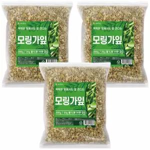 건강중심 말린 모링가 잎 건조