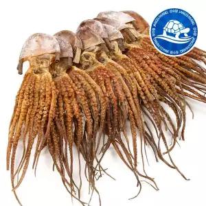 장수왕 피문어 (중 35-40cm) 1마리 /말린 문어 제수용 약문어 건문어 1개