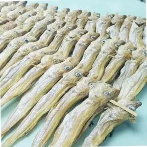 VGC 줄노가리 100마리 건조 대구 안주용