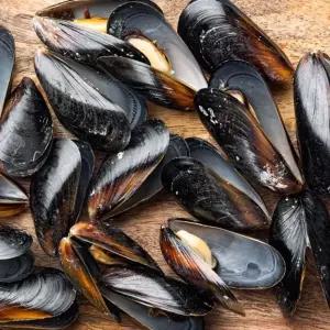 국내산 통영 세척 홍합 9KG 국내산홍합 국산홍합 통영홍합 세척홍합 제철홍합