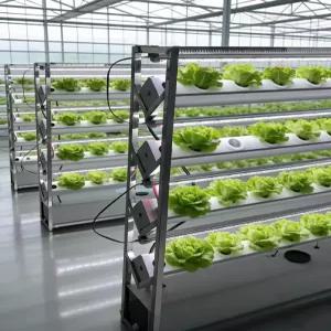 퀴브 수경재배기 키우기 대형 재배 5단 타워형 가정용