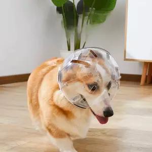 노견 엔젤링 강아지 투명 링 충돌 애견 머리 쉴드 헬멧 보호 방지 후드 물림