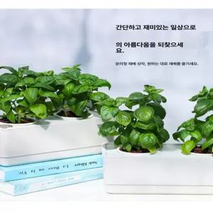 퀴브 수경재배기 텃밭 재배기 재배 식물재배기 새싹