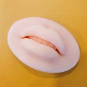 반영구 화장 연습 실리콘 입술 모형 5D 고무판 립 메이크업 교육용 훈련 도구
