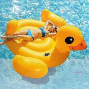 인텍스튜브 원형 라이더 물놀이용품 대형 어린이 오리 매트 백조 플라밍고 보트 intexintex인택스 손잡이ab