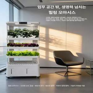 퀴브 수경재배기 텃밭 새싹 수직 키트 식물 채소