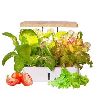 수경재배기 세트 채소 키우기 미니 스마트팜 무토양 재배