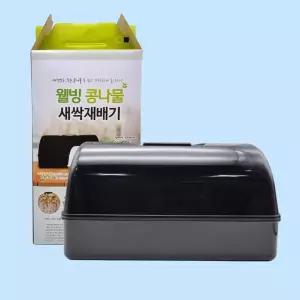 블랙 수경재배기 콩나물 싹틔우기 새싹 재배기 집채소 키우기 간편 홈재배 키트