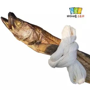 바다내음스토리 통북어