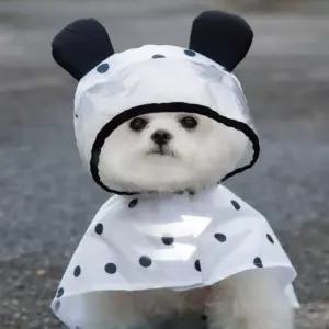 곰돌이 땡땡이 망토 우비 강아지옷 반려견 우의애의류 후리스 가디건 소형 여름 패딩 실내복 반려 쿨링 조