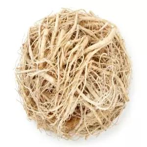 미삼 인삼 잔뿌리 뿌리 파삼 실속형 세척 수삼 한채 750g