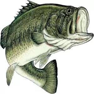 작은 낚시 배 물고기 스티커 데칼 범퍼 자동 자동차 트럭 보트 RV 실제 생활 극 태클 박스 어부 3인치