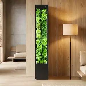 여느상점 수경재배기 3단 재배기 야채 재배 수직 수경