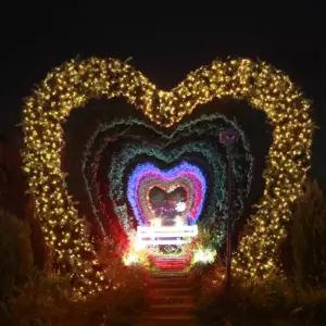 (은하수) 100구 녹색선 LED 웜색 지니전구(10M) (전원잭포함) (연결가능) (150cm∼500cm트리용)인테리어 장