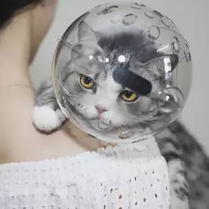 우주선 헬멧 고양이 입마개 물림 방지 입질 방지용 대형묘 마스크보호 차단 안전 반려동물용품 넥카라 병원