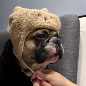 프랑스 불독 애완 강아지 1. 플러시 귀여운 동물 모자 곰 겨울 애완견 Milk 만