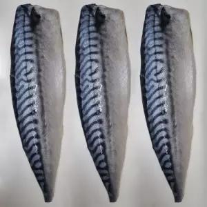 뼈없는 노르웨이 고등어 필렛 10개 1.5kg 노르웨이산 고등어 순살 고등어 구이 용 생