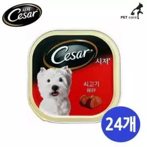 [반려] 쇠고기 24개 1박스 통조림 시저캔