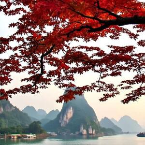 라미네이트 바닥재 공구 강력 흡착판 수리용 플랭크 그래버 (목재 비닐 원목