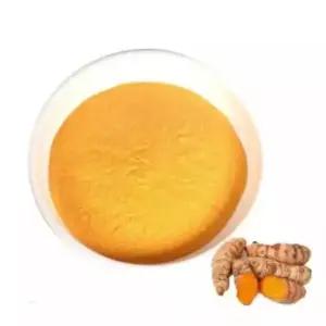 강황추출분말 100g