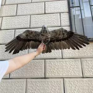 새퇴치 독수리모형 인조 인형 정원 야외장식 조각품 가짜 동물 방충 잔디 인테리어