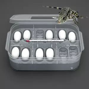 파충류 산란 부화기 알통 12칸