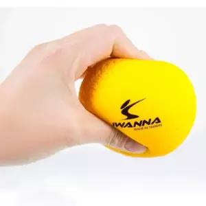 아이워너 티볼 소프트 폼볼 옐로우 11in 1P 야구 배팅 연습 체육티볼