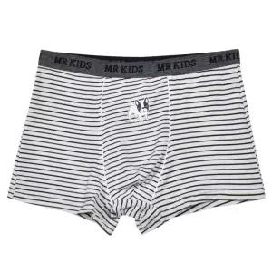 유아 어린이 초등 남아 팬티 사각 드로즈 3매 아동