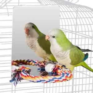 새용품 장난감 횟대 놀이 거울 나사 사육장 횃대 포함