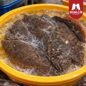 [마녀바스켓] 알이 꽉찬 통통한 손질 알배기 가자미 (대-중) 550g (2~3미)