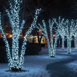 300구 검정선 LED 백색 지니전구 트리전구 크리스마스