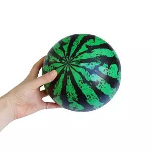 펌프 비취볼 비치볼 수박 탱탱볼 수박탱탱볼 KC인증 수박공 서치생활