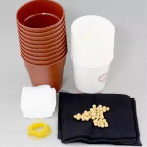 어린이 콩나물키우기 미니화분 10세트 관찰용 식물원 생물실