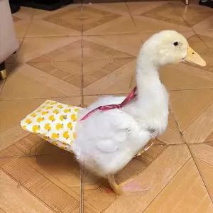 닭 기저귀 오리 팬티 기저귀 반려닭 거위 병아리 배변 패드
