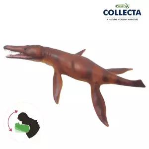 [컬렉타] 크로노사우루스 1:40 스케일 (턱관절 움직임)