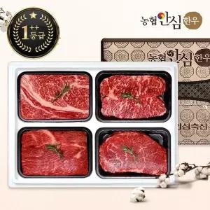 [농협안심한우]한우선물세트 구이정육2호 1++7,8,9등급 2kg (등/채/국/불)