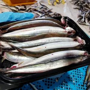 [다농이네]강원도 고성 생물 양미리 1kg 30미내외