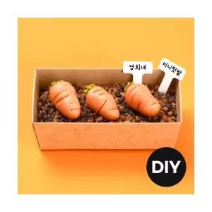 떠먹는 당근 텃밭 DIY 밀키트 요리키트 떡만들기 (NO불조리) 식목일 봄 체험활동