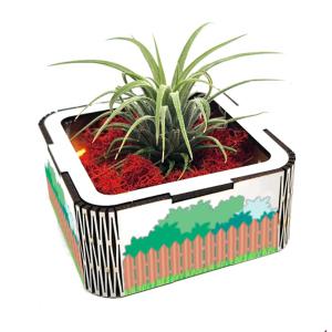 공기정화식물 이오난사 테라리움 EDU-40179 / 과학체험학습키트