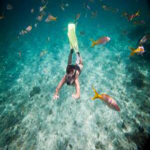 [부산][진에어] 솔레아 리조트 호핑투어+자유일정1일 호핑투어 패키지 6일