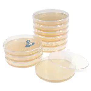 일반세균 표준한천배지(10개입)