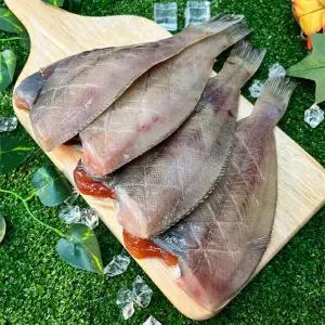 연안 반건조 알가자미 1팩(5미 내외)