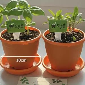 (모종뜰) 허브 2개화분 텃밭세트 루꼴라 바질 모종 체험 키트